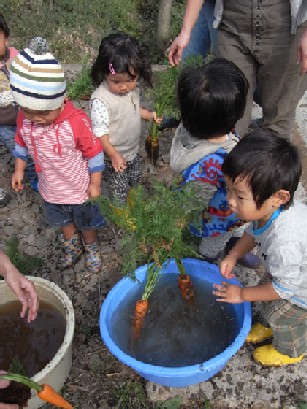 収獲体験＆食体験6